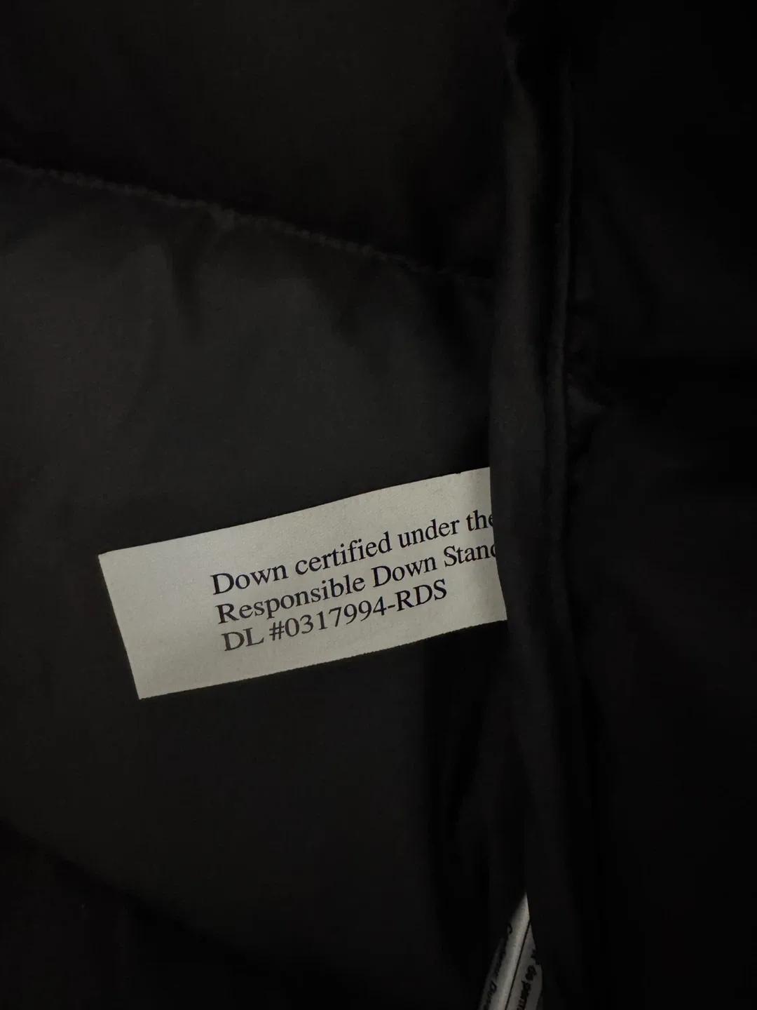 The North Face Nuptse 700 fill limited edition Jacket image indicator(9)
