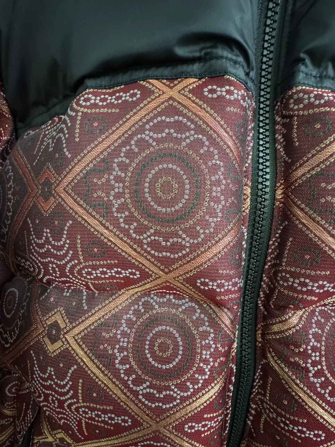 The North Face Nuptse 700 fill limited edition Jacket image indicator(5)