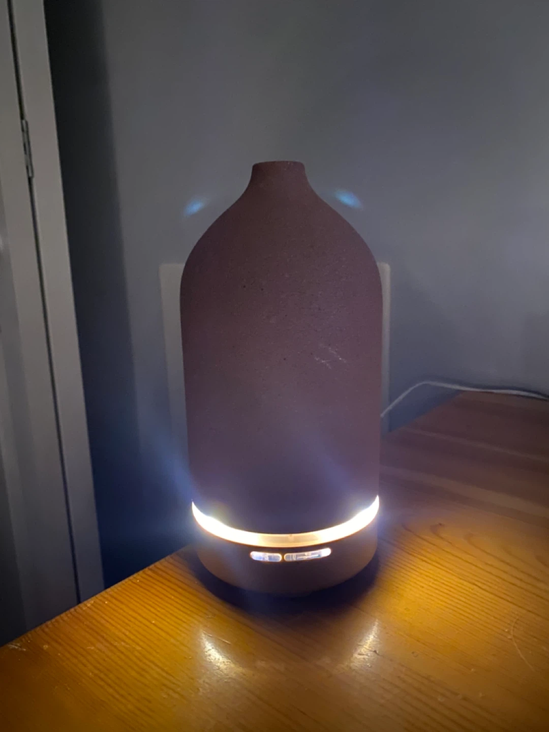 Saje Diffuser 🥕🥕🥕 - photo 4