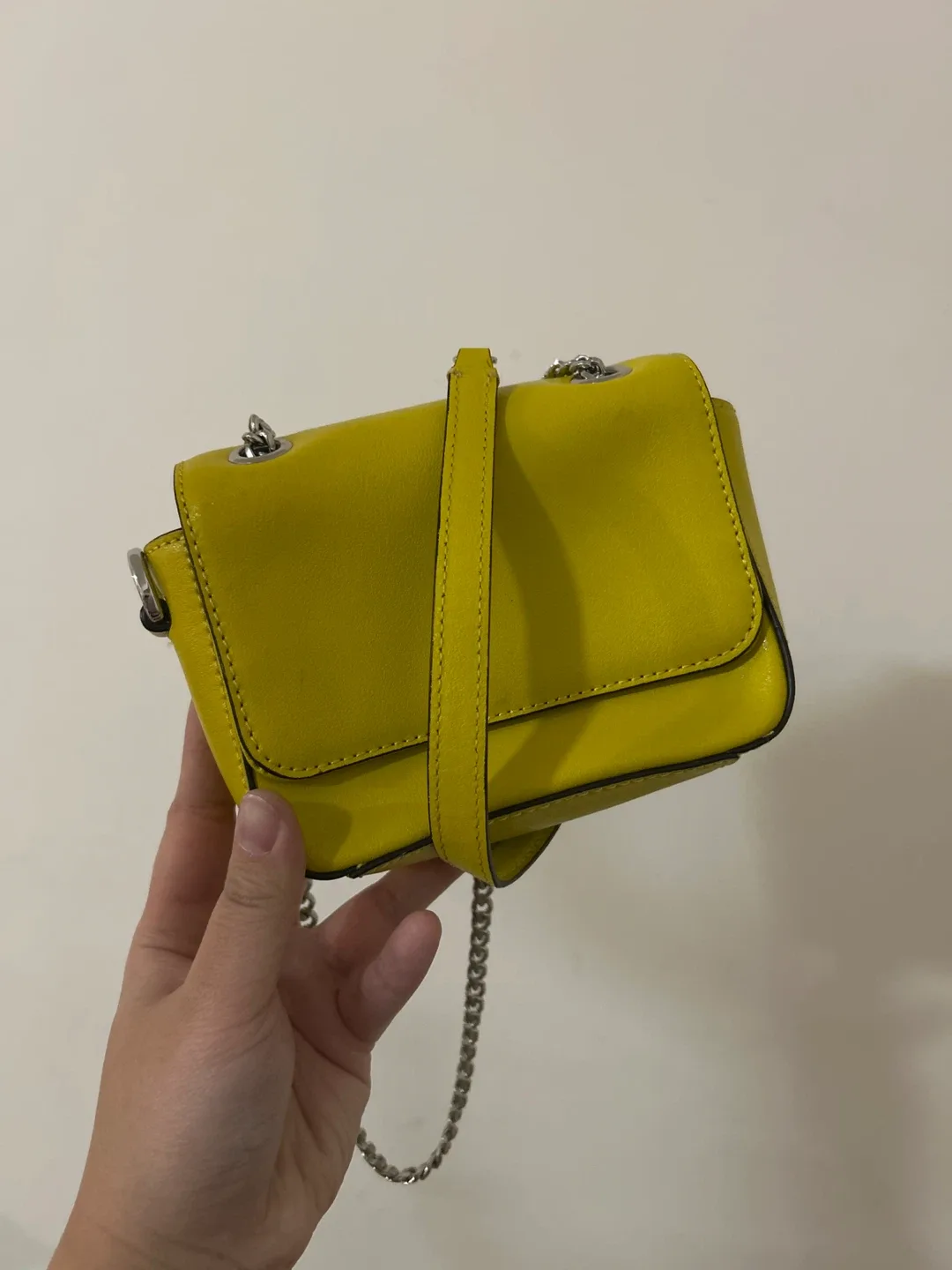 Banana Republic Crossbody Mini Bag