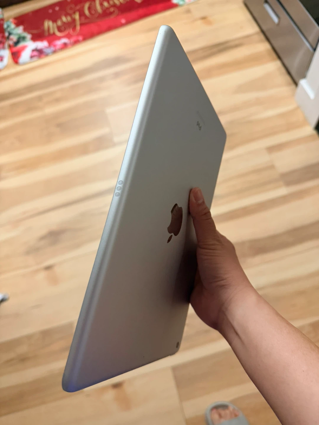Apple iPad 64GB Silver - photo 4