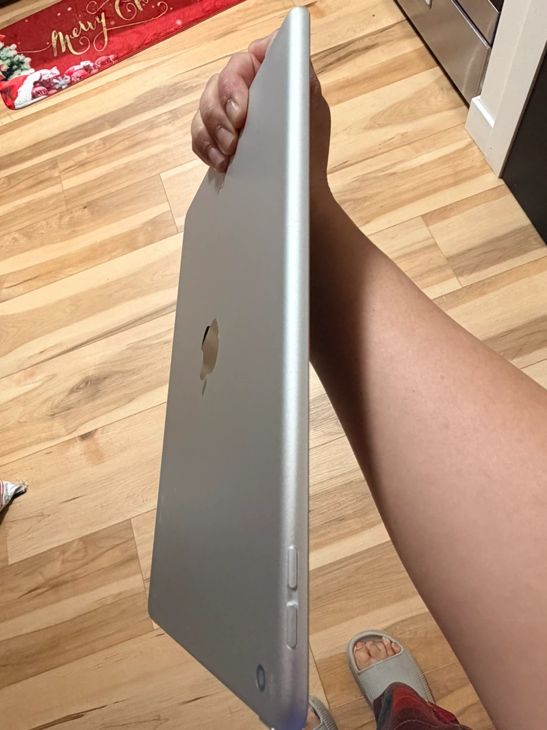 Apple iPad 64GB Silver - photo 3