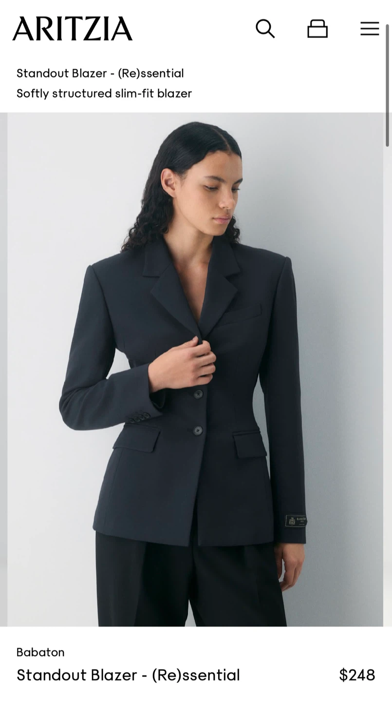 Aritzia Babaton Standout Blazer (size 4)