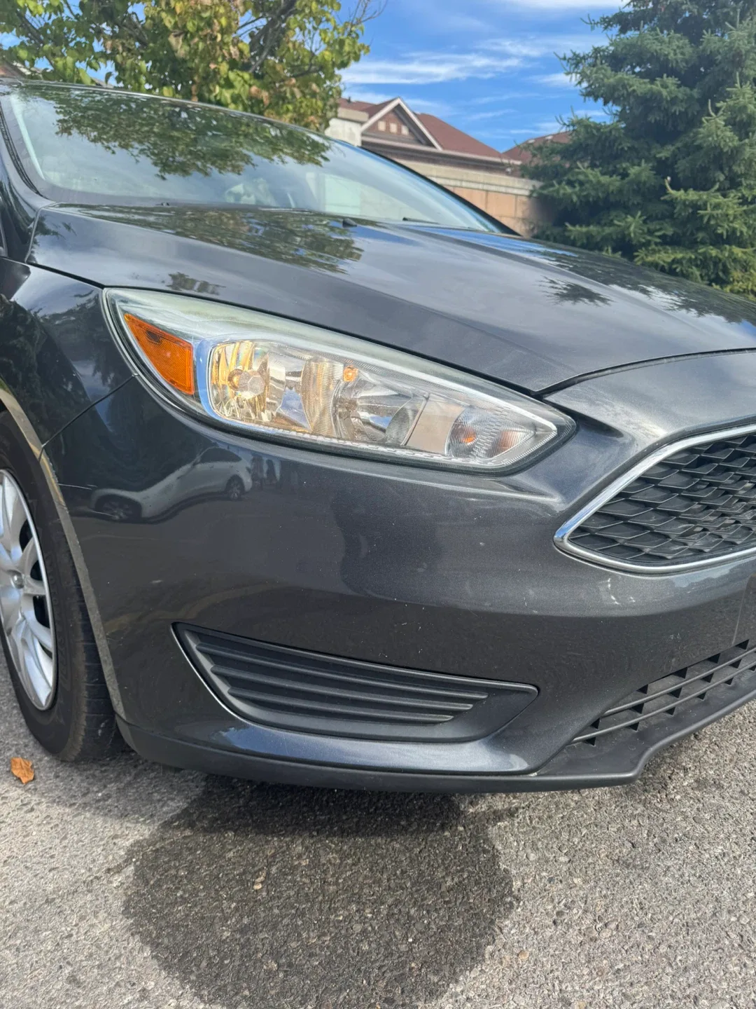 Ford Focus - Grey Sedan image indicator(4)