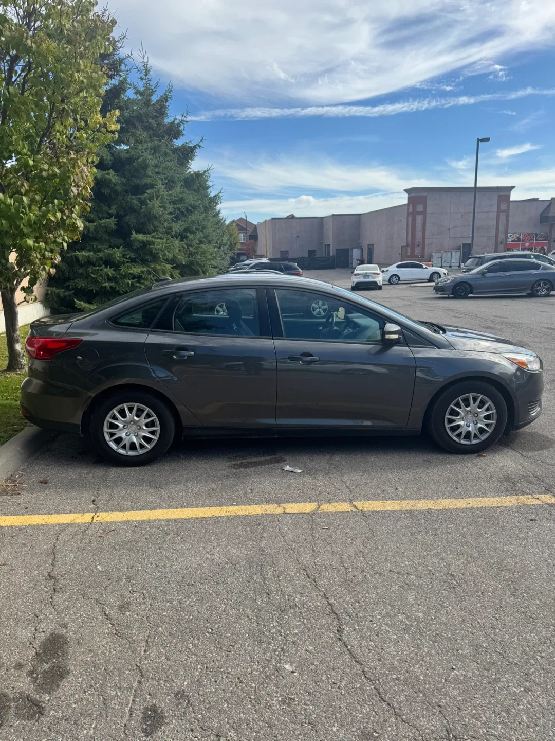 Ford Focus - Grey Sedan image indicator(6)