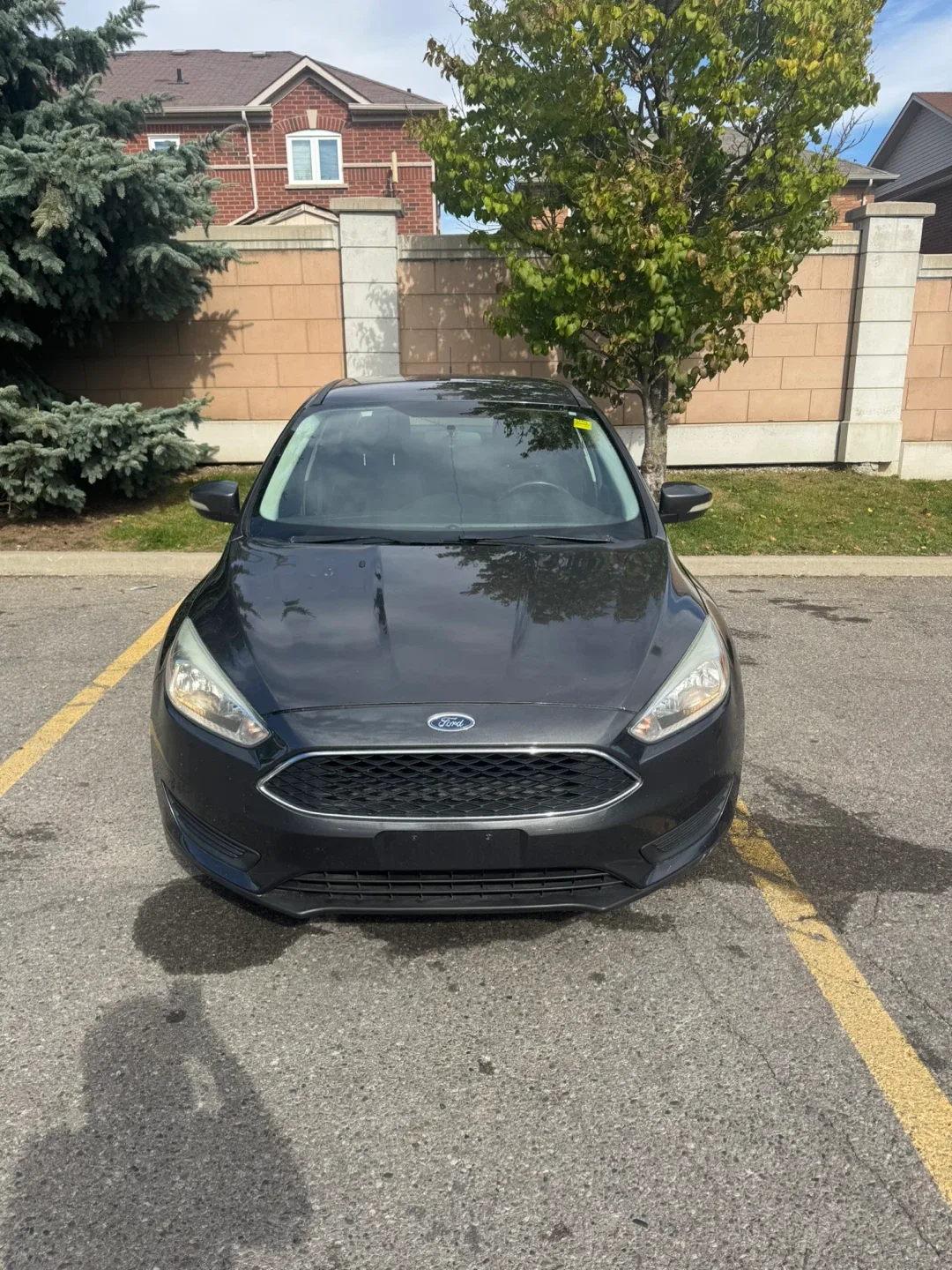 Ford Focus - Grey Sedan image indicator(3)