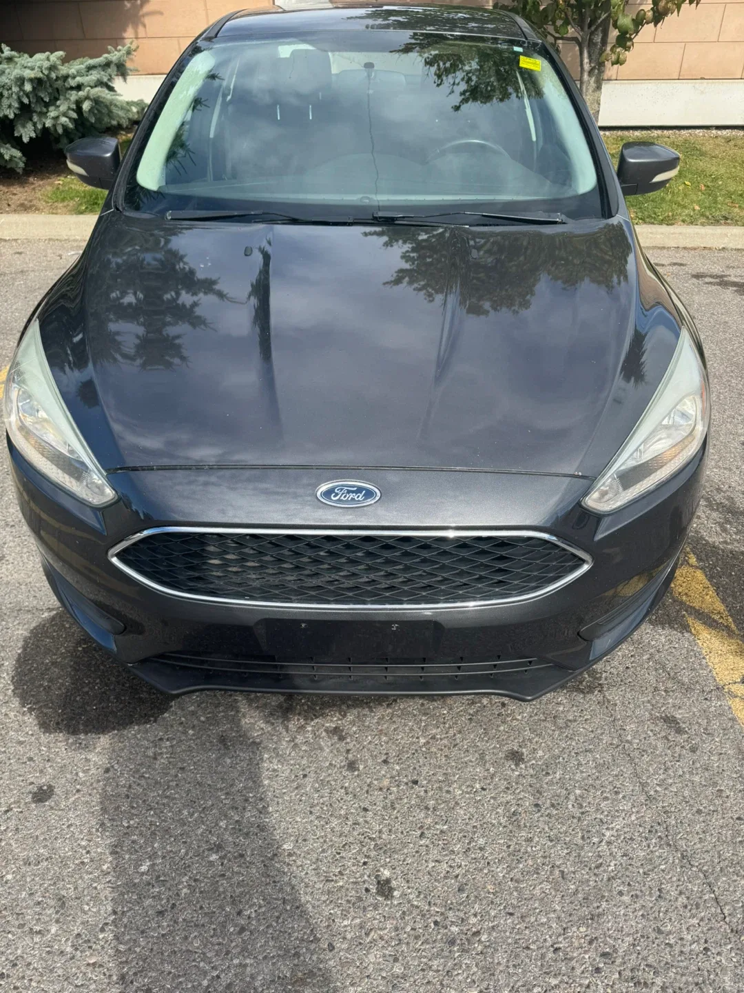 Ford Focus - Grey Sedan image indicator(5)