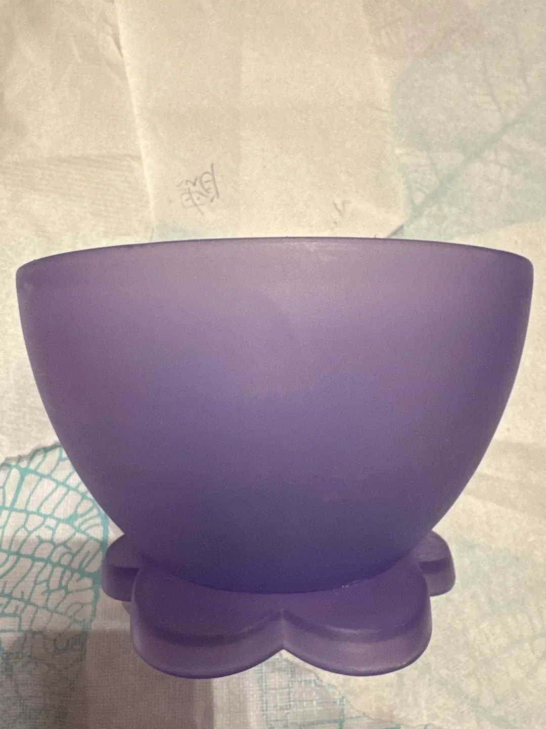 Purple Bowl plastic 🥕🥕