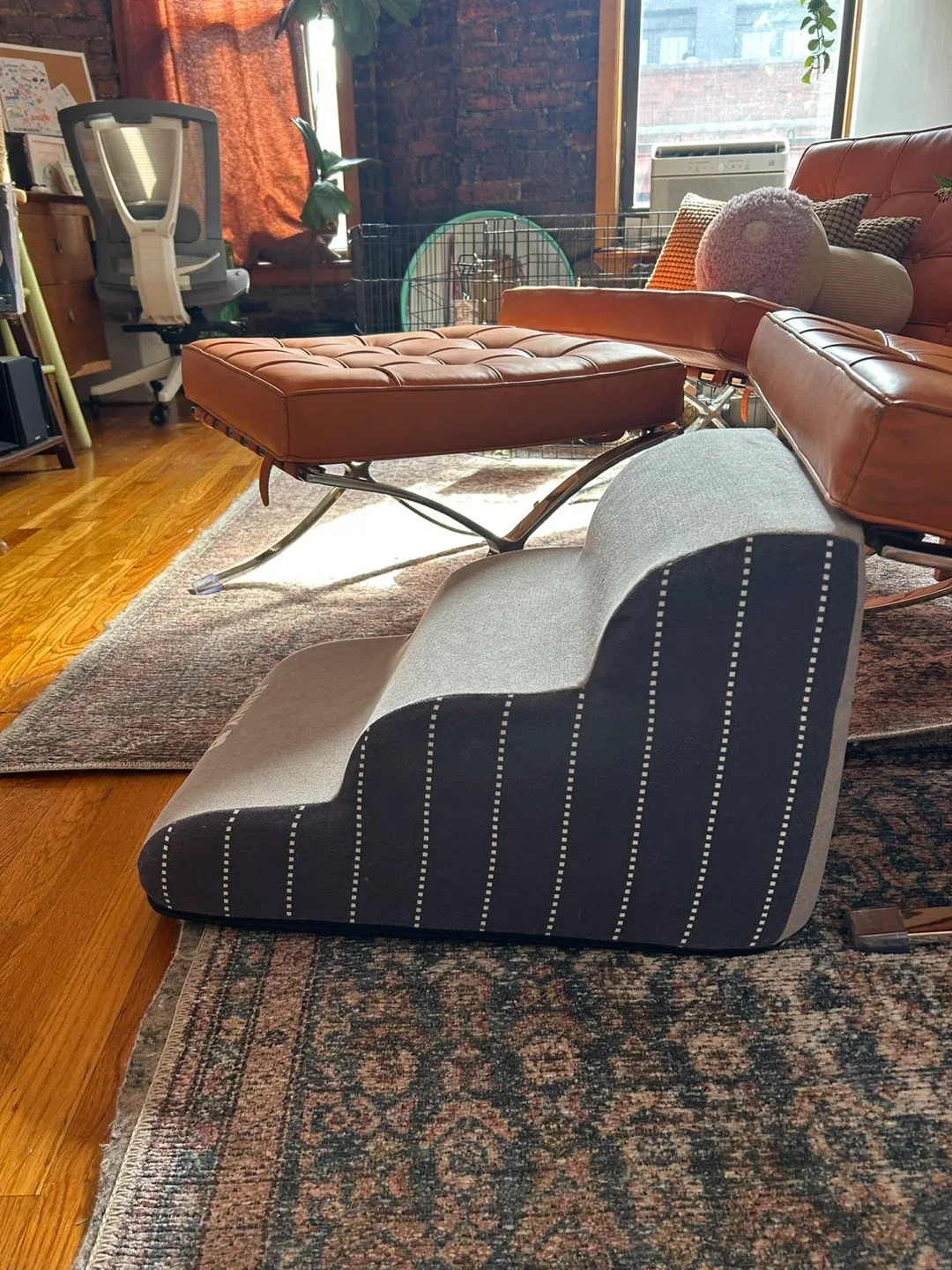 Funny Fuzzy Pet Steps image indicator(3)