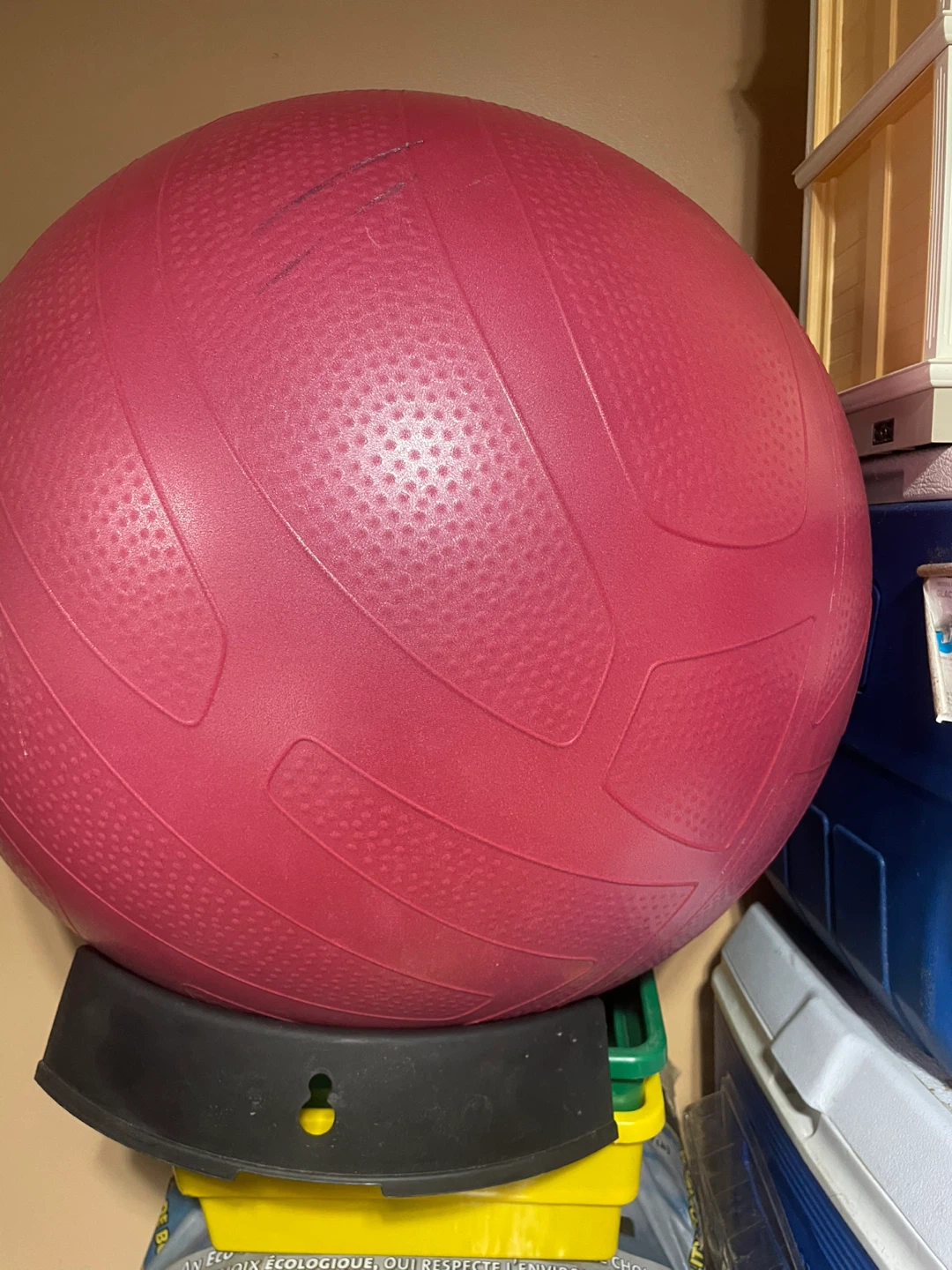 Pink Exercise Ball
