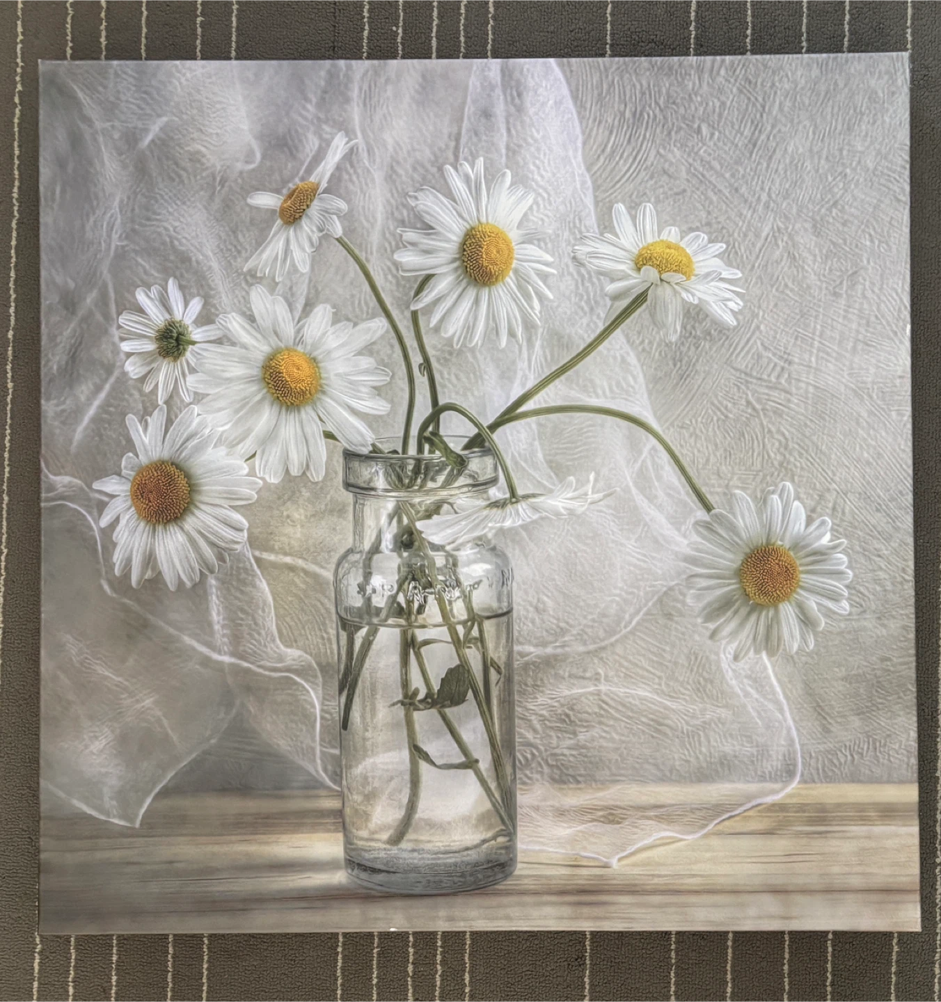 Beautiful Daisy Canvas Wall Art (60 x 60 x 4 cms) 🥕