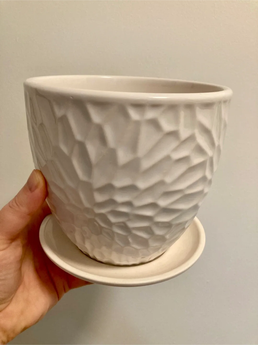 White planter with saucer