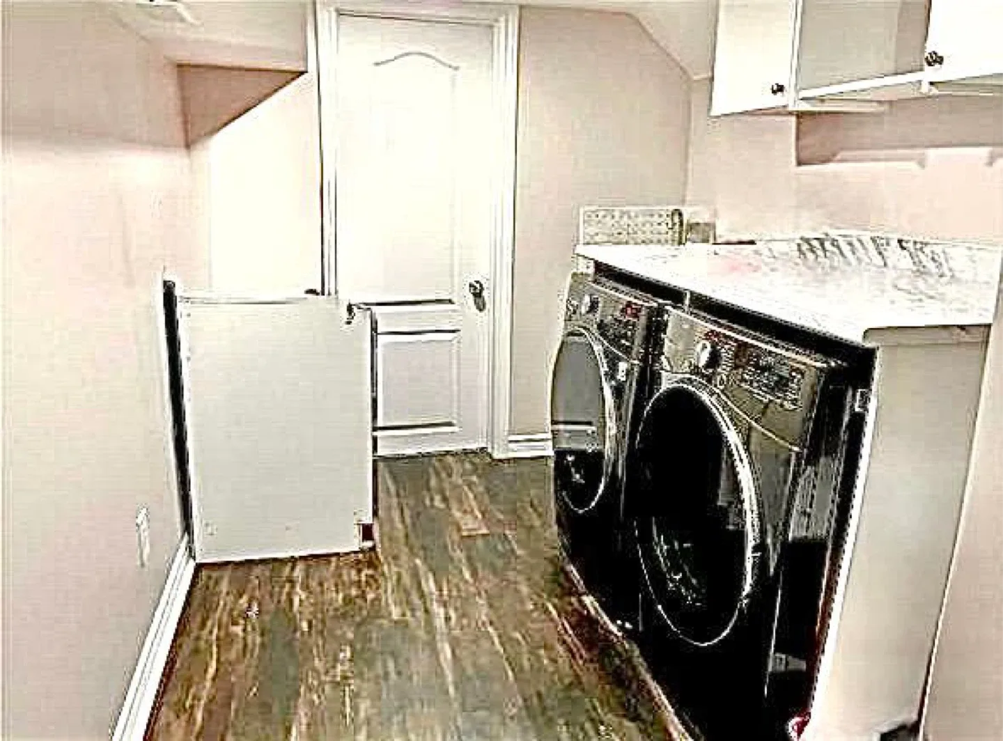 1 Bedroom + Den Basement- Milton image indicator(10)