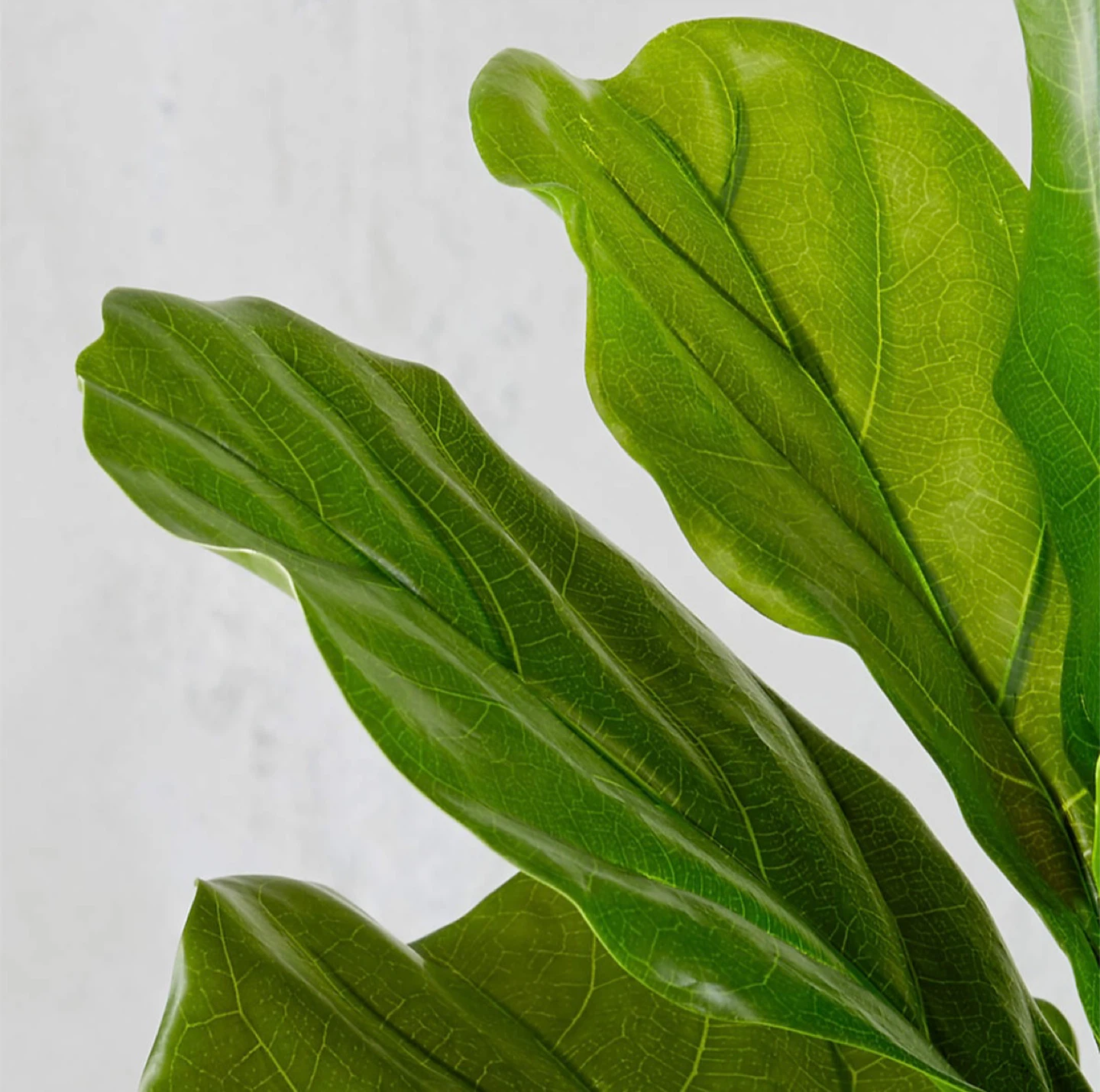CB2 Fiddle Leaf Fig Artificial Tree in Pot - photo 2