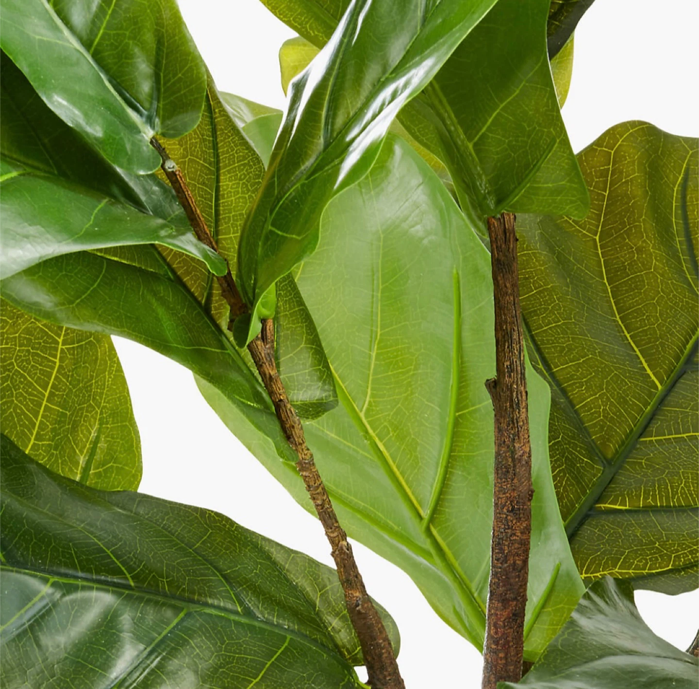 CB2 Fiddle Leaf Fig Artificial Tree in Pot - photo 3