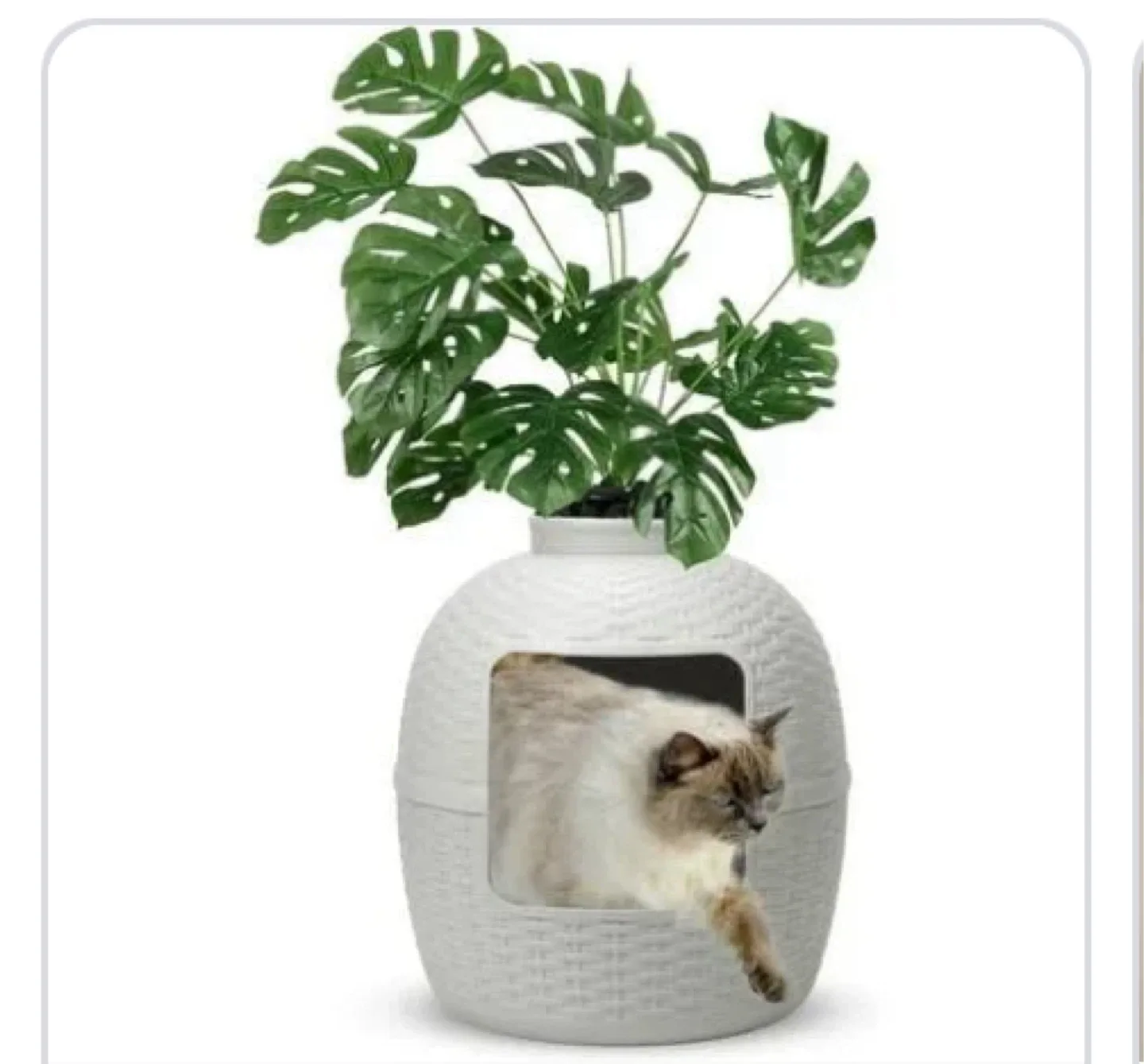 Woven Cat litter box with Faux Plant image indicator(5)