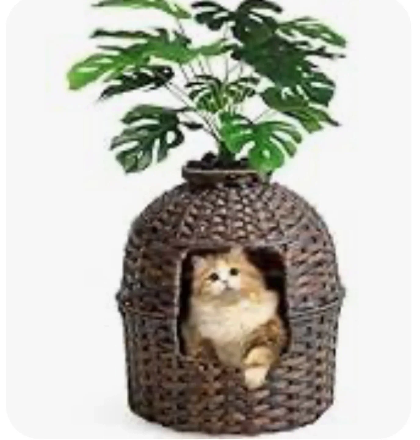 Woven Cat litter box with Faux Plant image indicator(4)