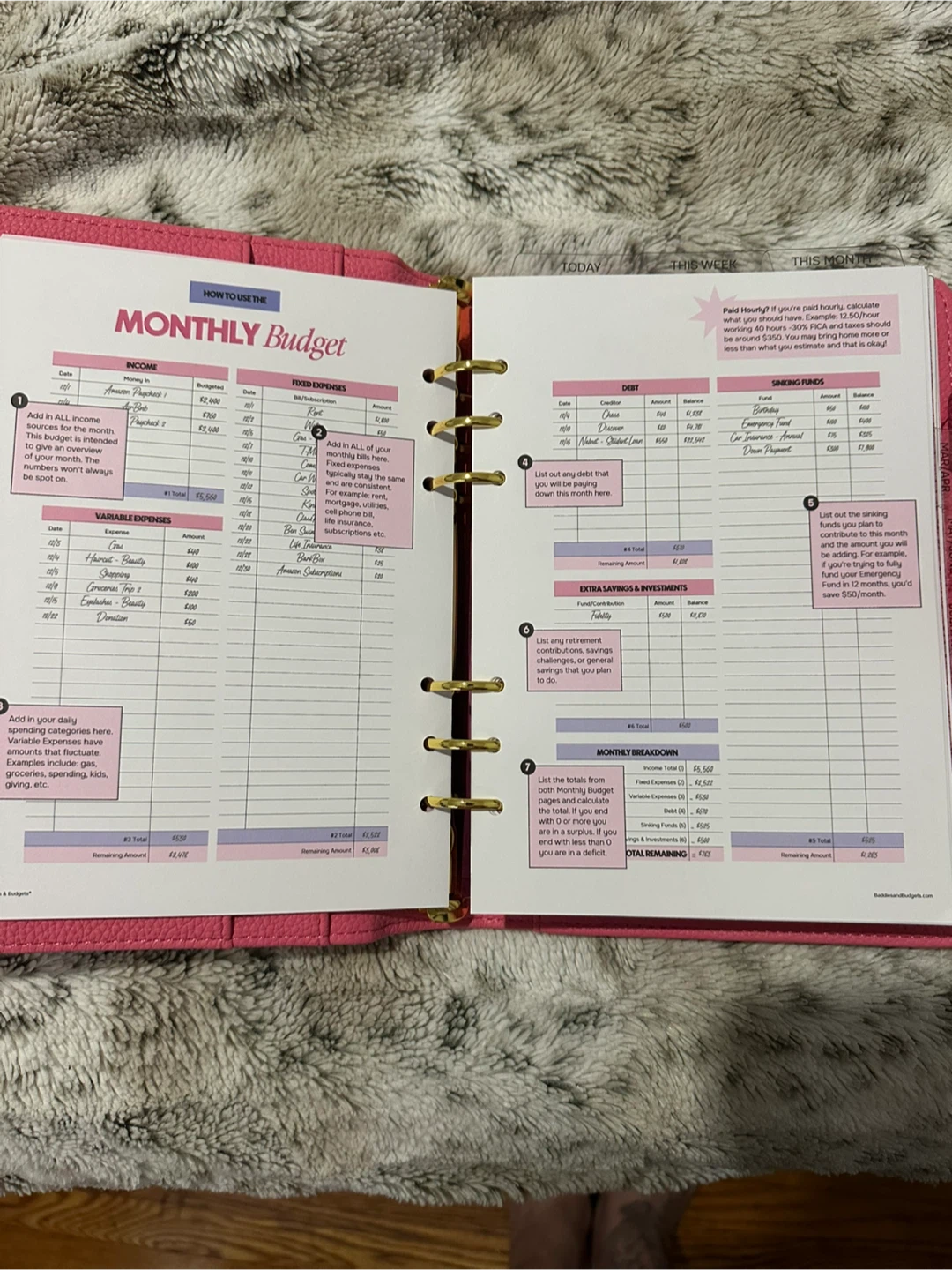 Baddies & Budgets Pink Planner - photo 4