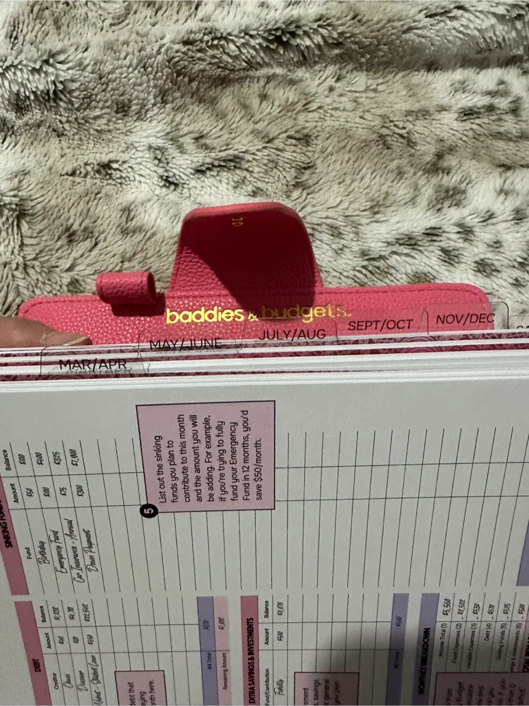 Baddies & Budgets Pink Planner image indicator(6)