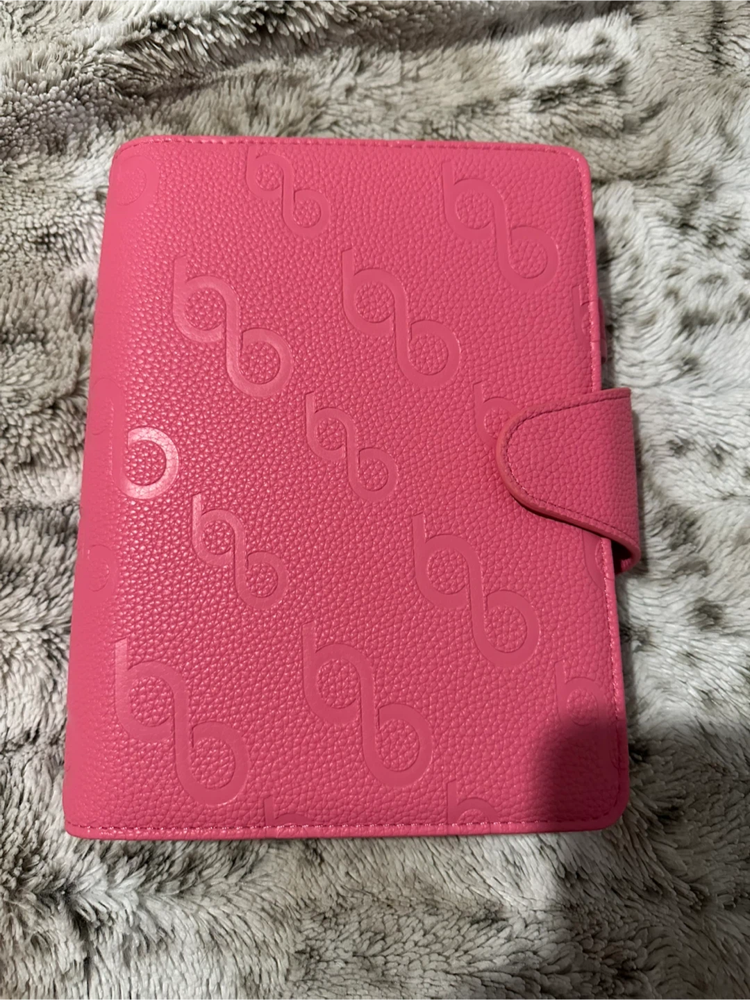 Baddies & Budgets Pink Planner