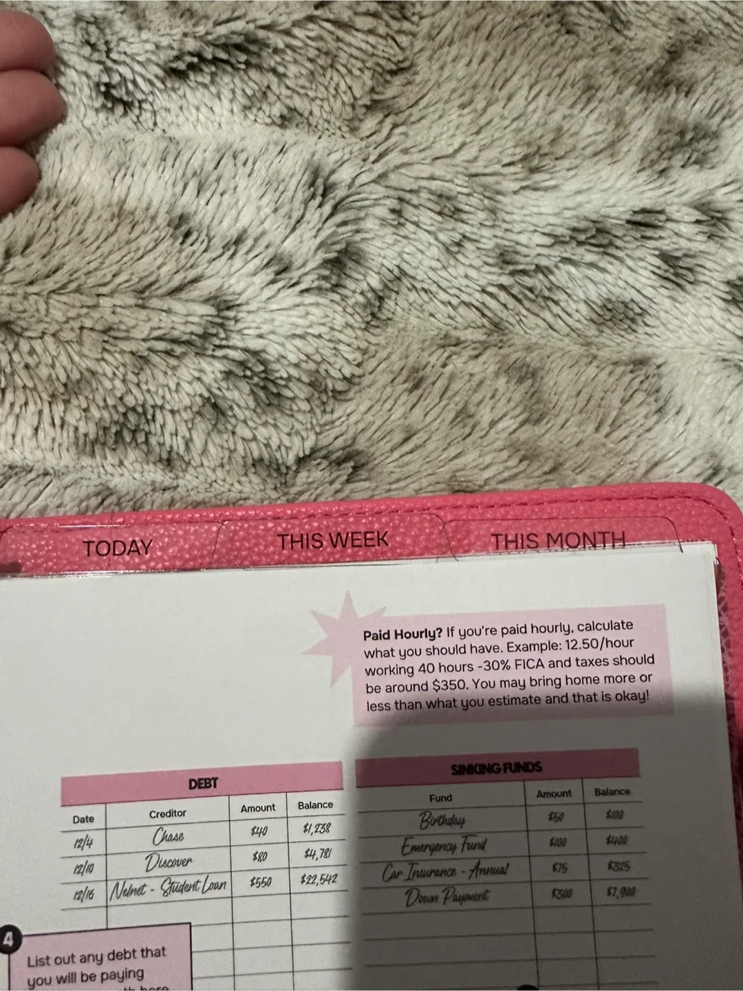 Baddies & Budgets Pink Planner image indicator(5)
