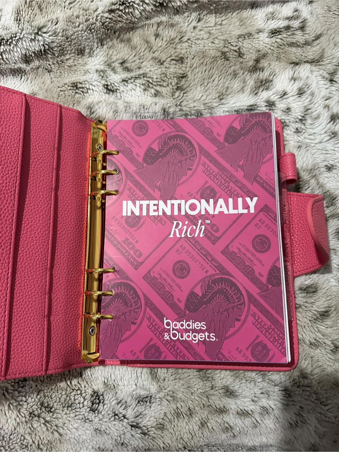 Baddies & Budgets Pink Planner - photo 3