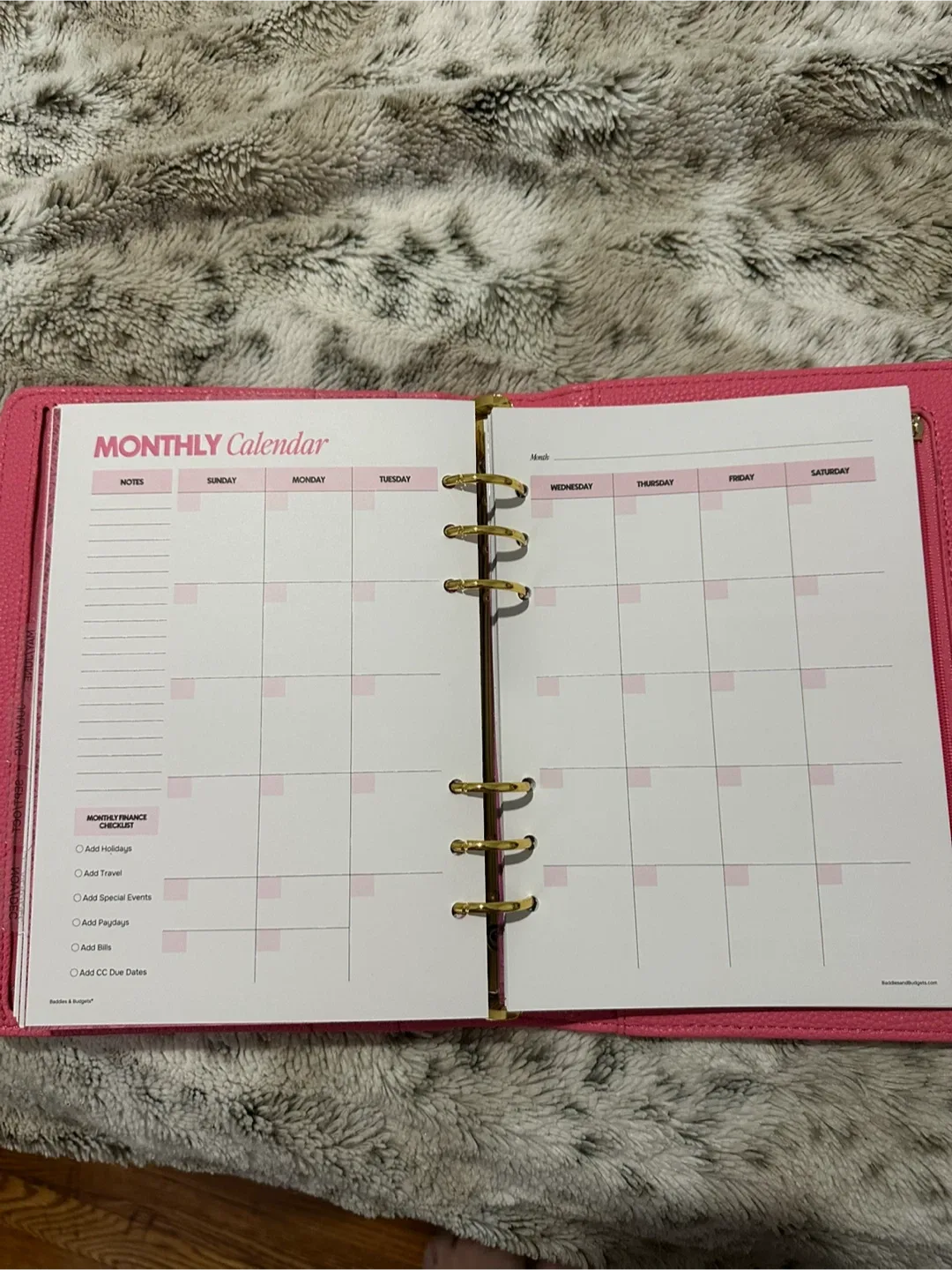 Baddies & Budgets Pink Planner image indicator(7)