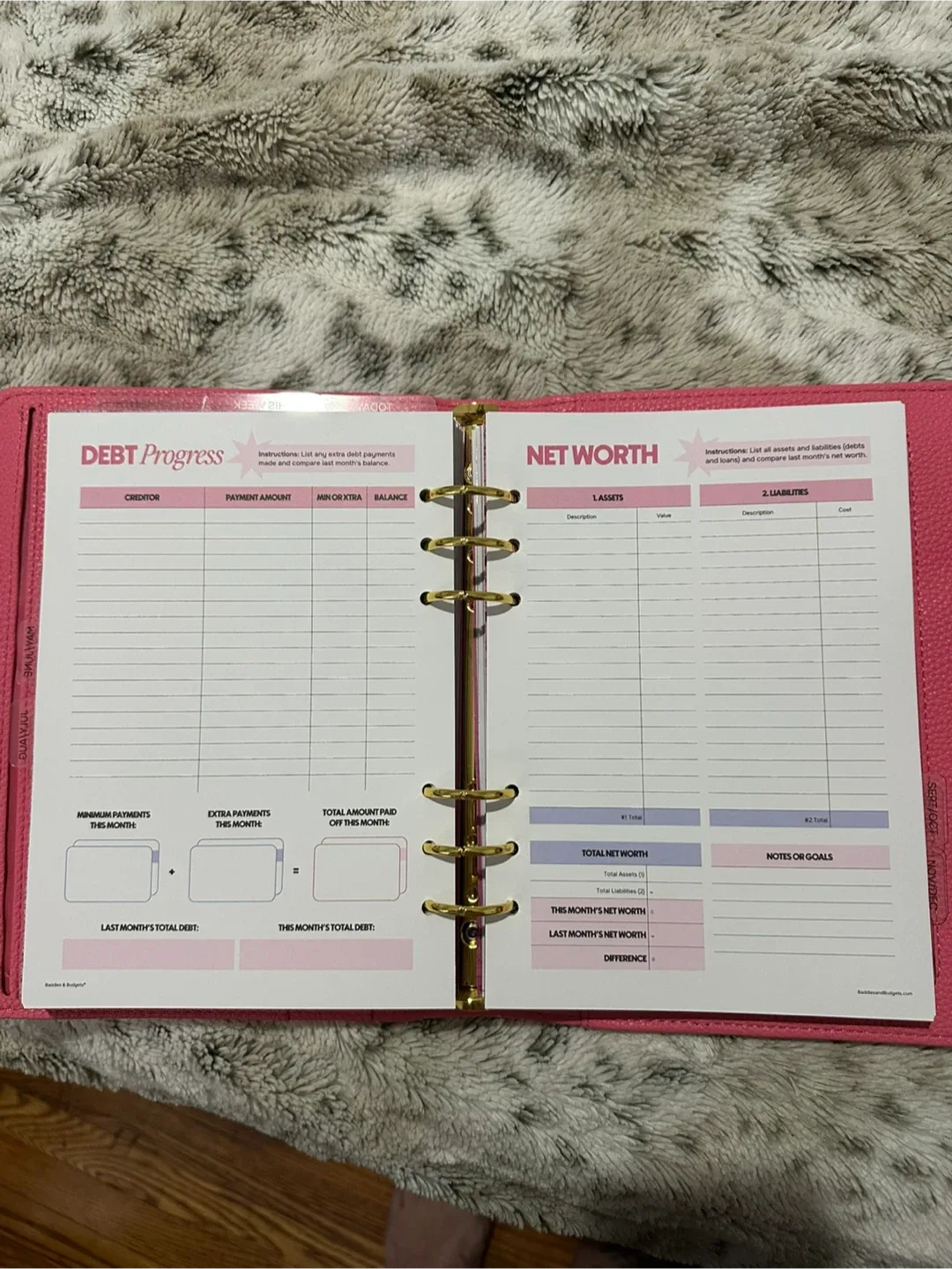 Baddies & Budgets Pink Planner image indicator(8)