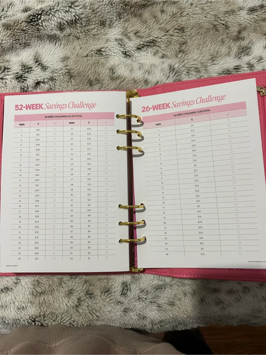 Baddies & Budgets Pink Planner image indicator(9)