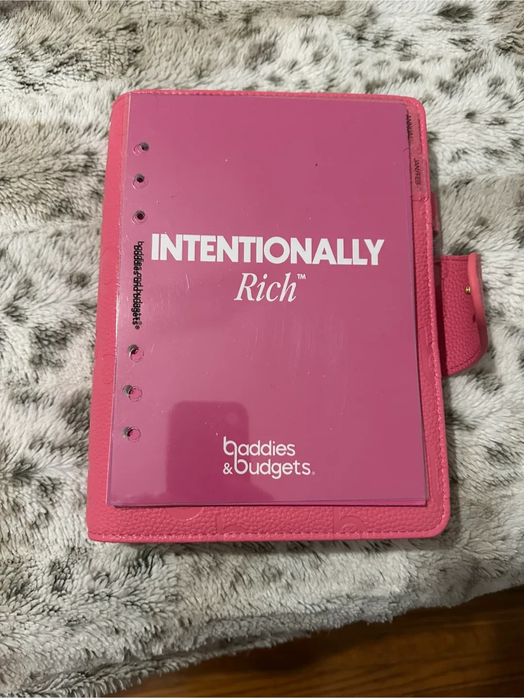 Baddies & Budgets Pink Planner image indicator(10)