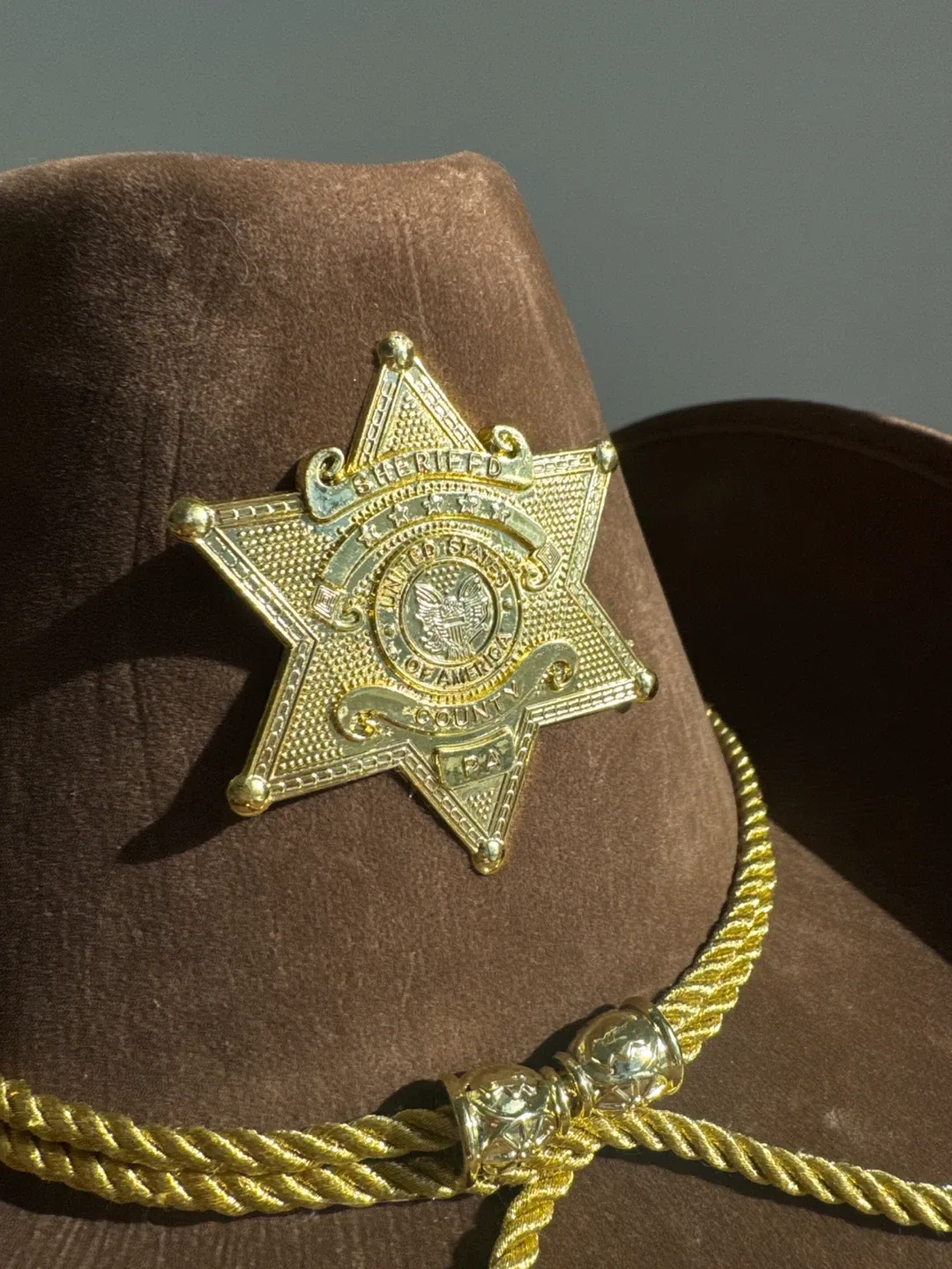 Brown Sheriff Cowboy Hat - 🥕 image indicator(2)