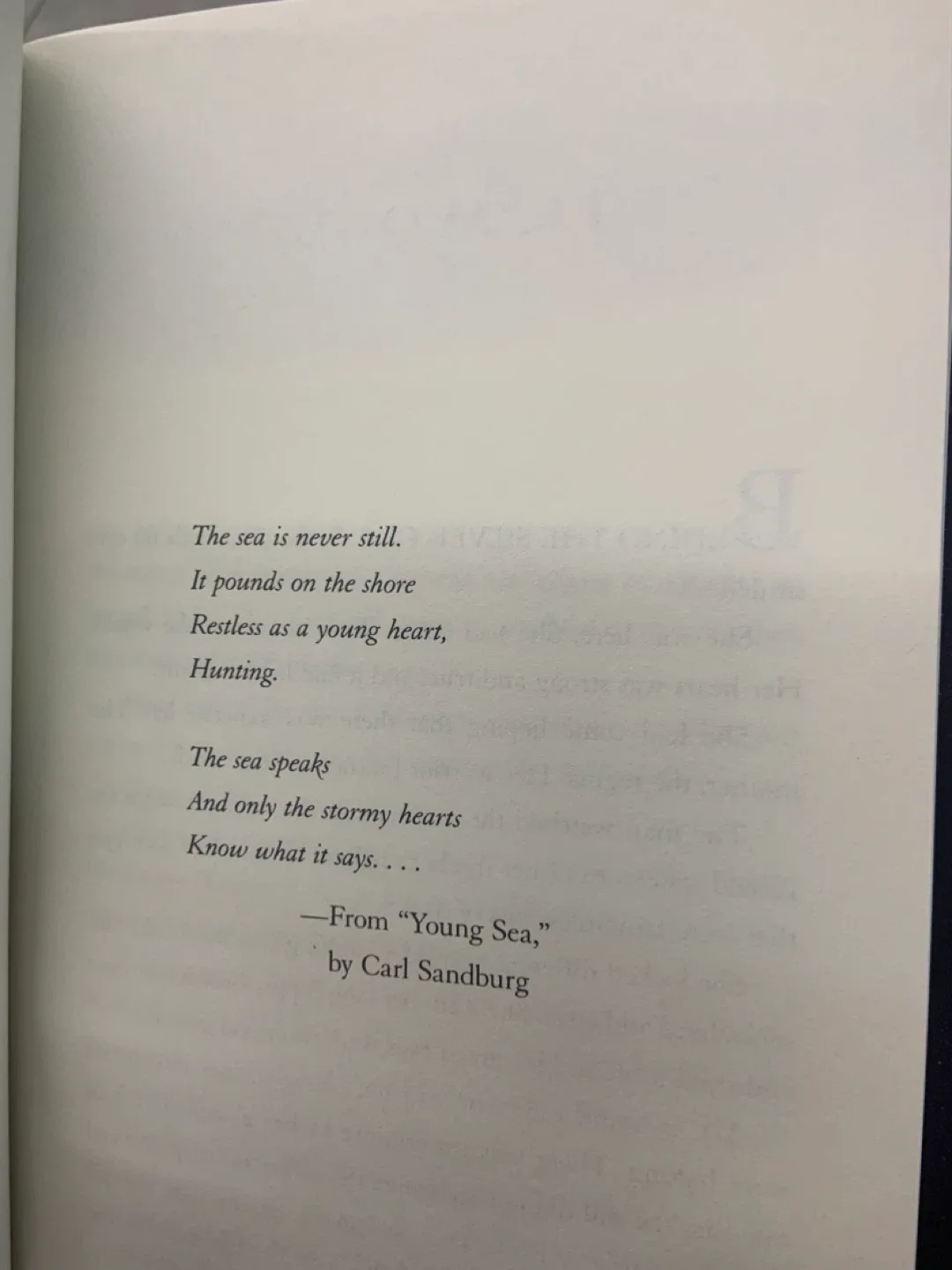 Rogue Wave by Jennifer Donnelly (Waterfire Saga) image indicator(7)