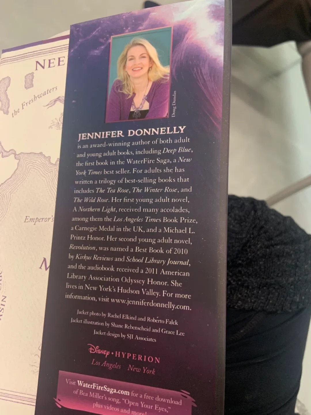 Rogue Wave by Jennifer Donnelly (Waterfire Saga) image indicator(8)