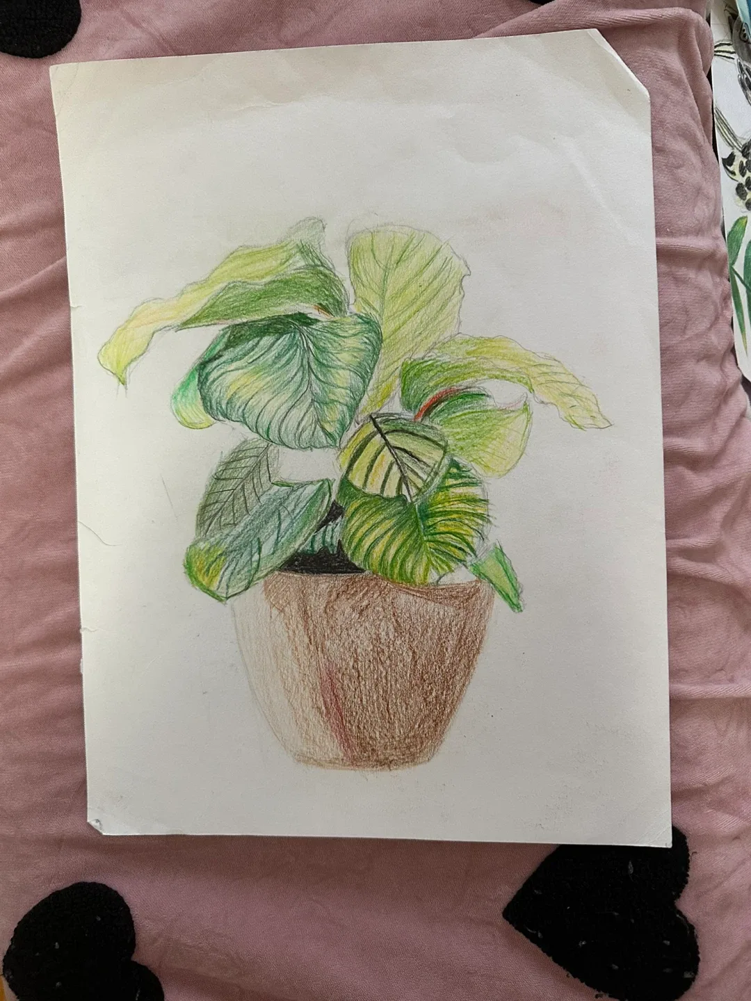 Painting image indicator(5)