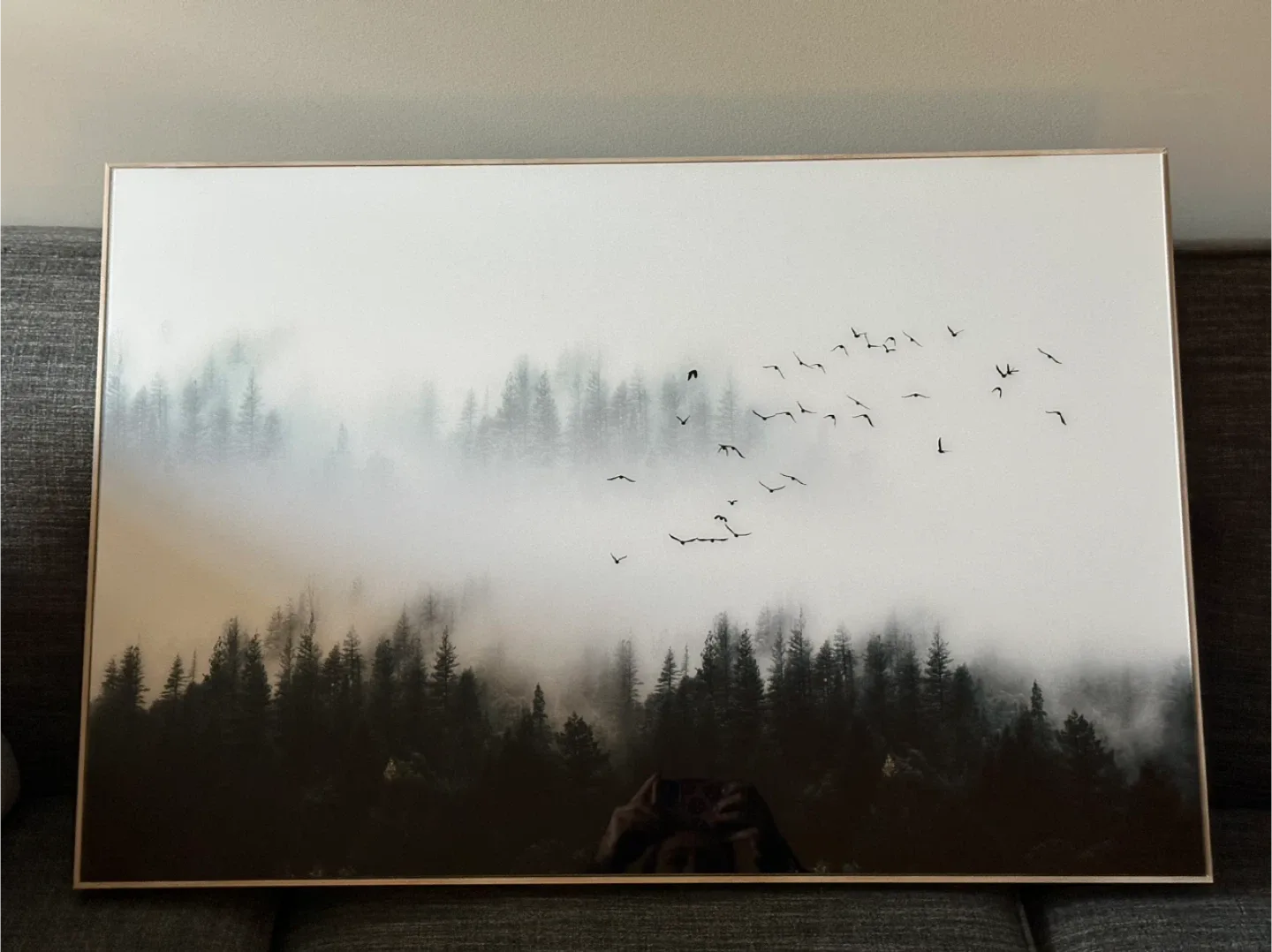 Framed Forest & Birds Print