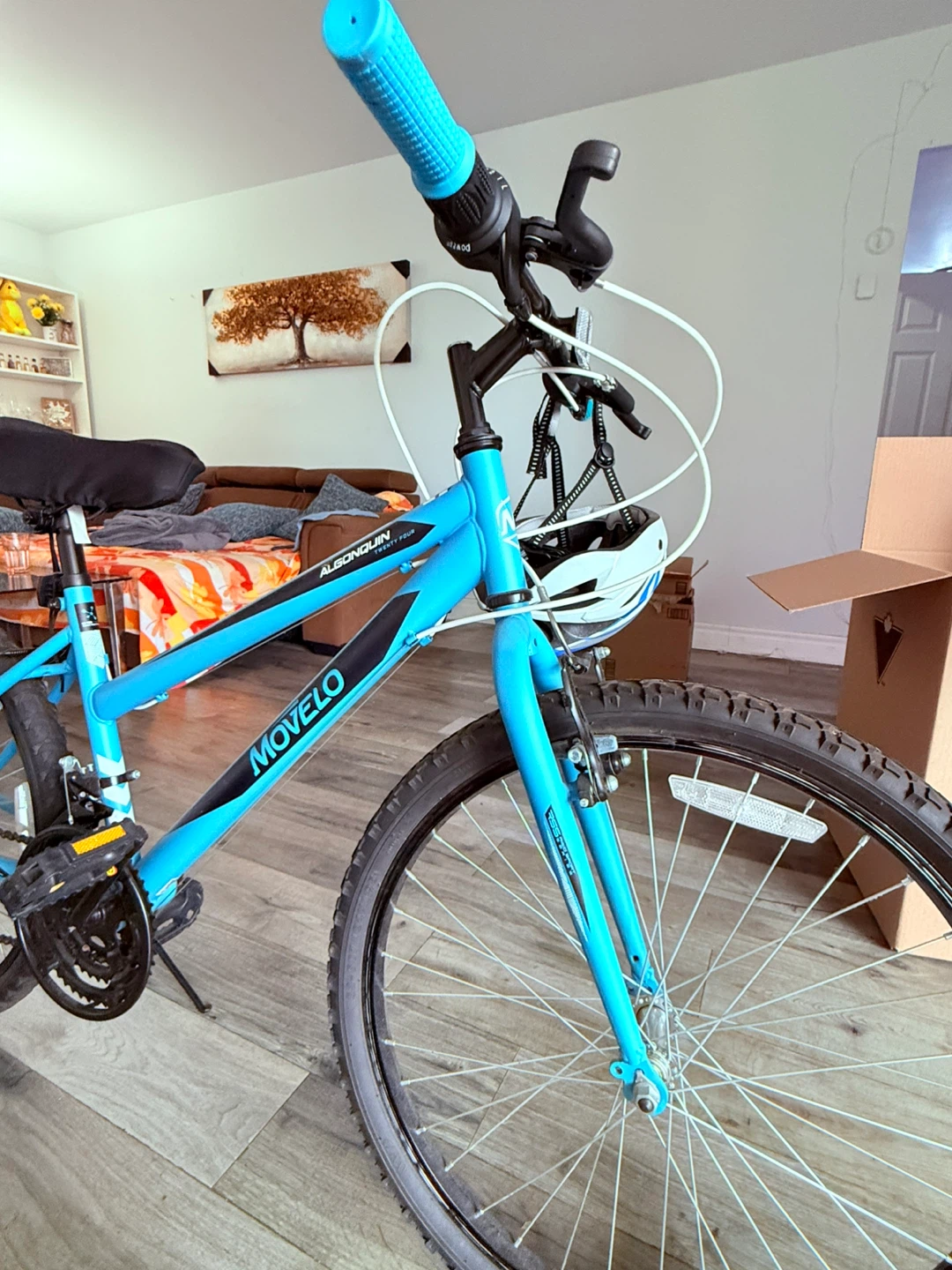 Movelo Algonquin Twenty Four Bike - Blue