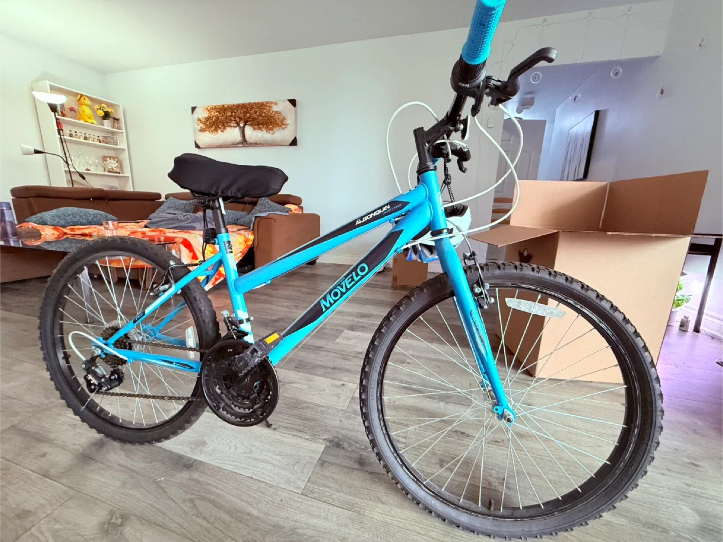 Movelo Algonquin Twenty Four Bike - Blue image indicator(4)