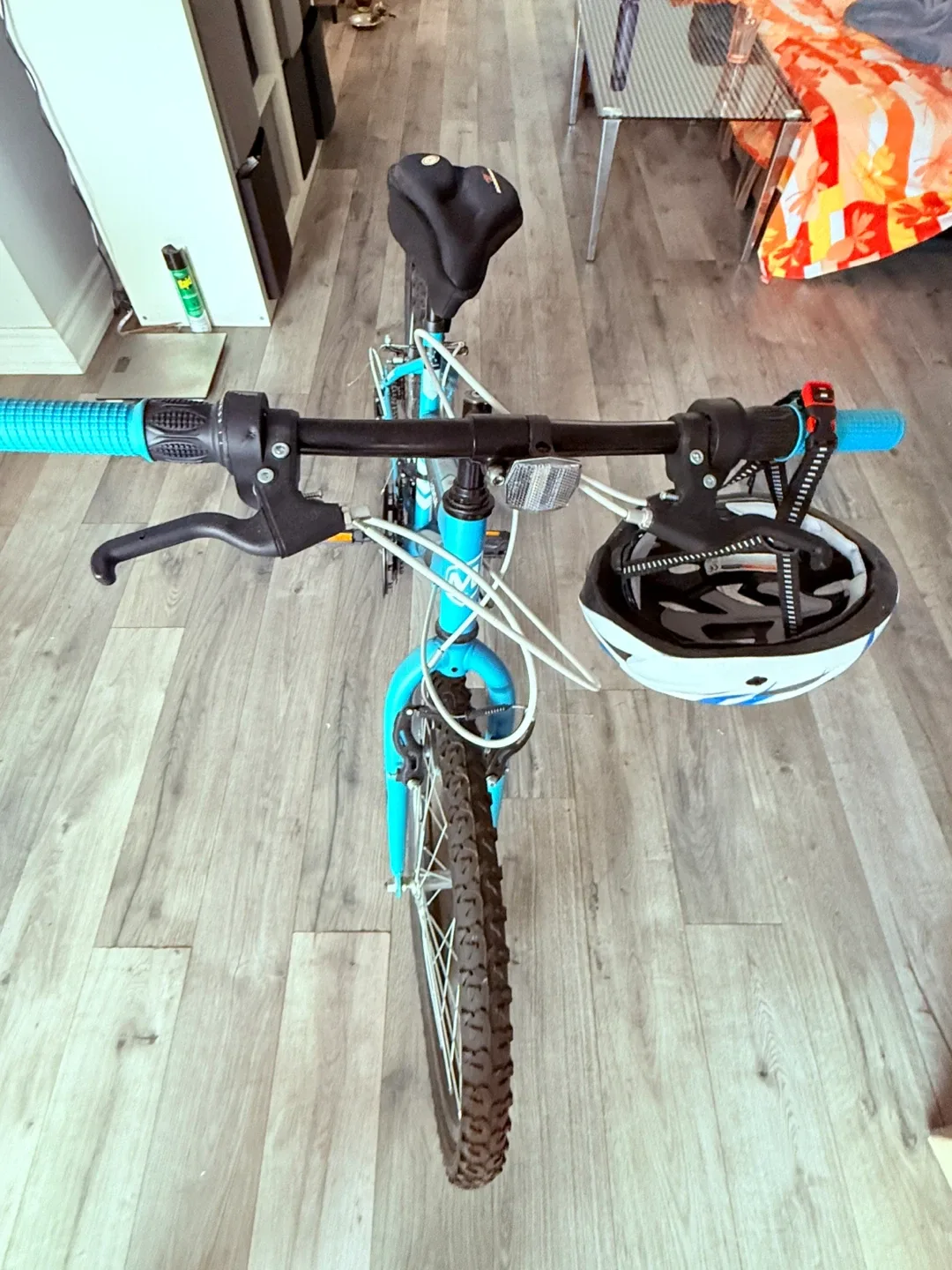 Movelo Algonquin Twenty Four Bike - Blue image indicator(6)