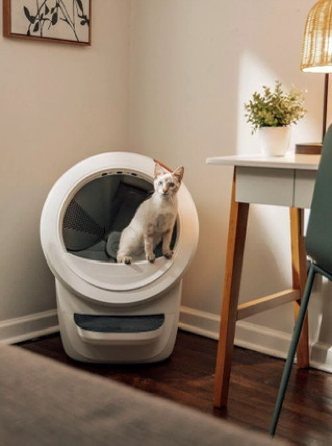 Litter-Robot 4 Automatic Self-Cleaning Cat Litter Box - photo 3