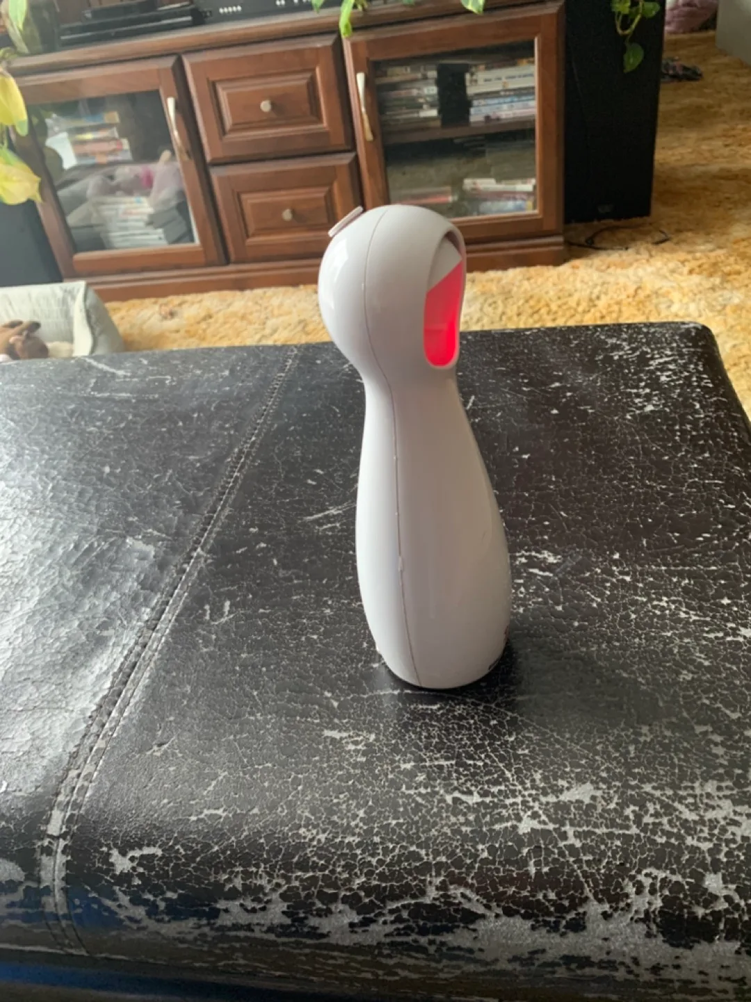 Bolt Interactive Laser Cat Toy