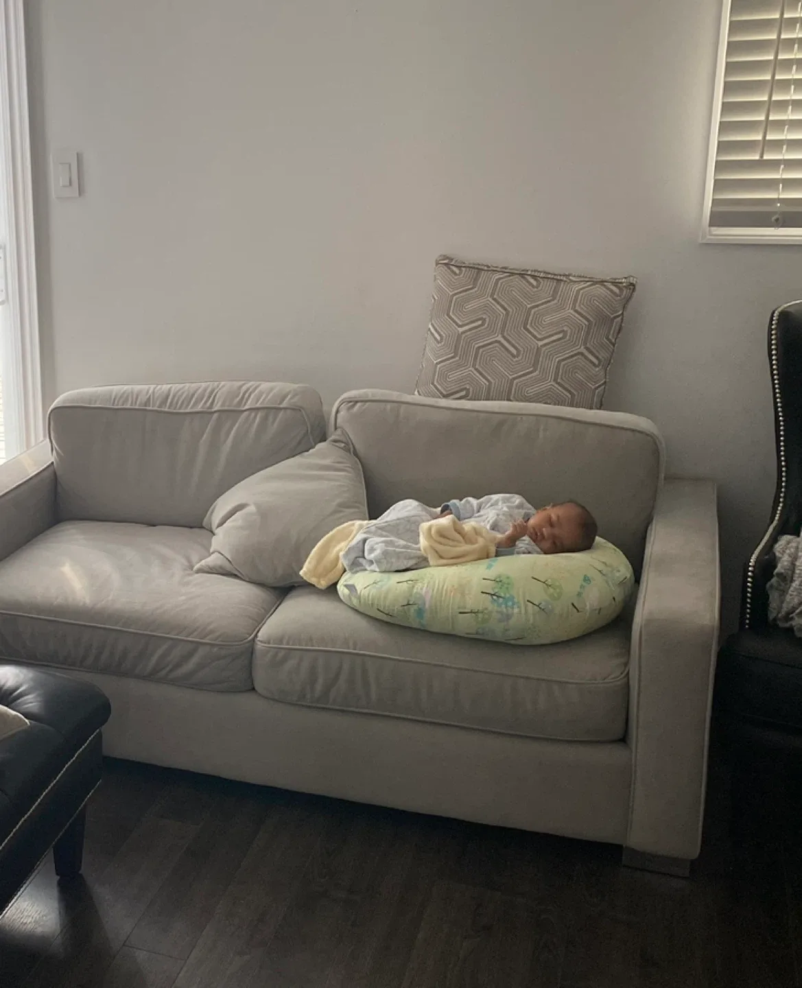 Boppy Newborn Lounger (0-4 Months) image indicator(2)