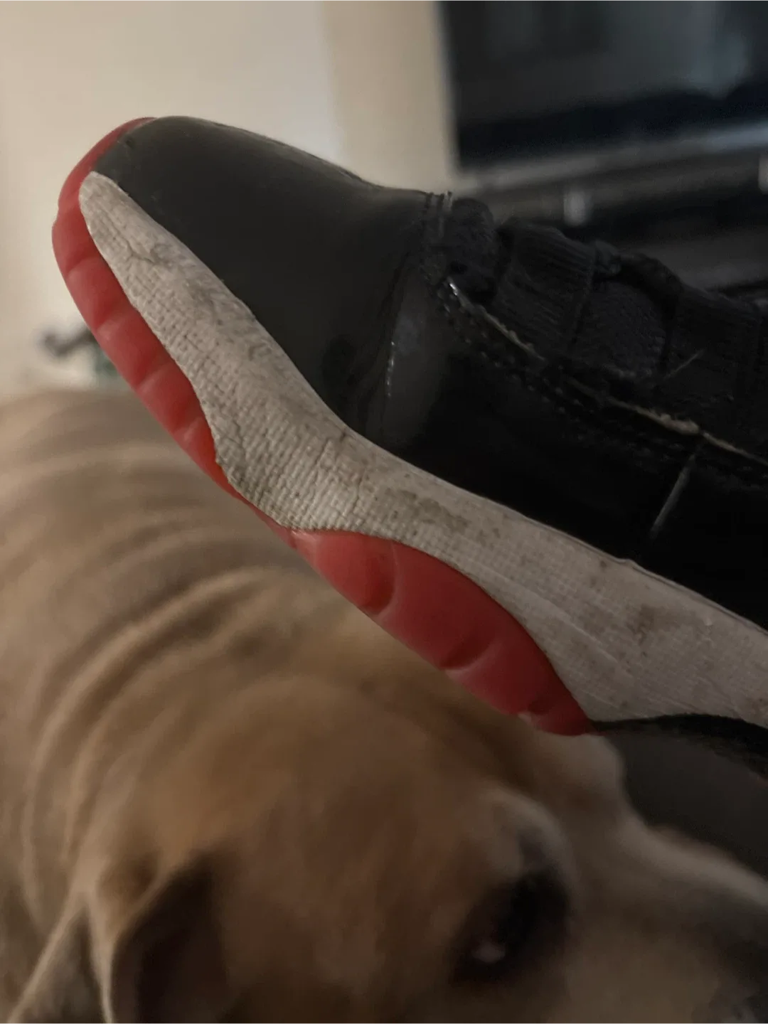 Jordan 11 Retro Little Flex Black/Red image indicator(2)