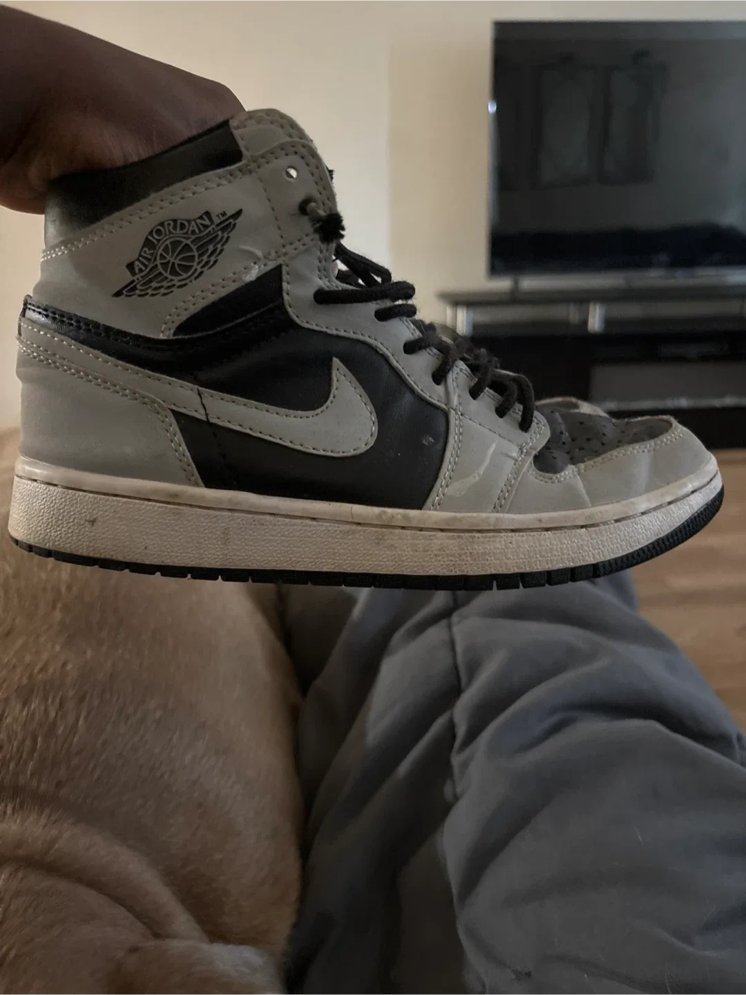 Air Jordan 1 Retro High Shadow 2.0 image indicator(2)