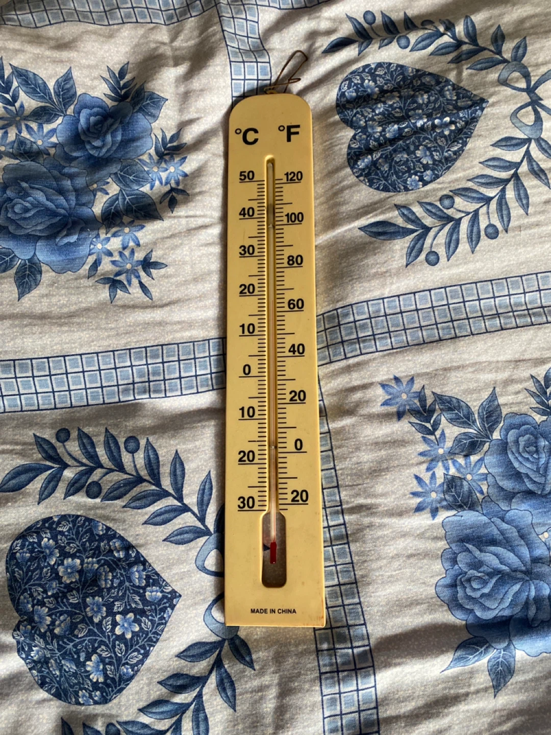 Outdoor Thermometer 🥕