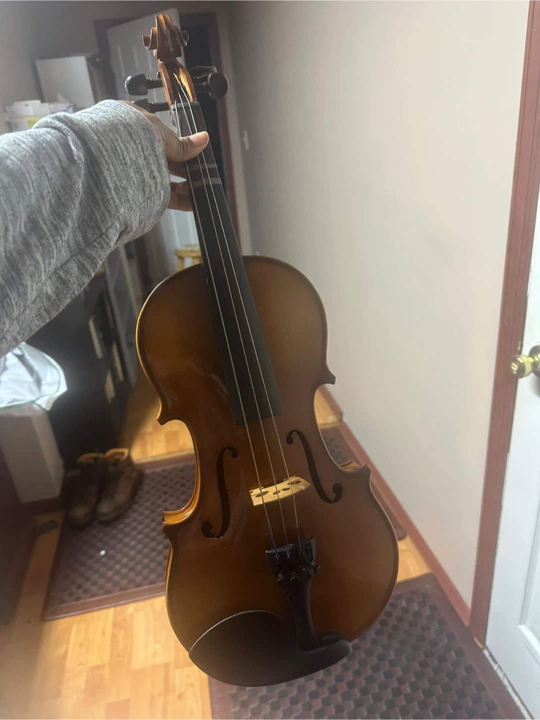 Carlo Robelli Viola with Case - photo 3