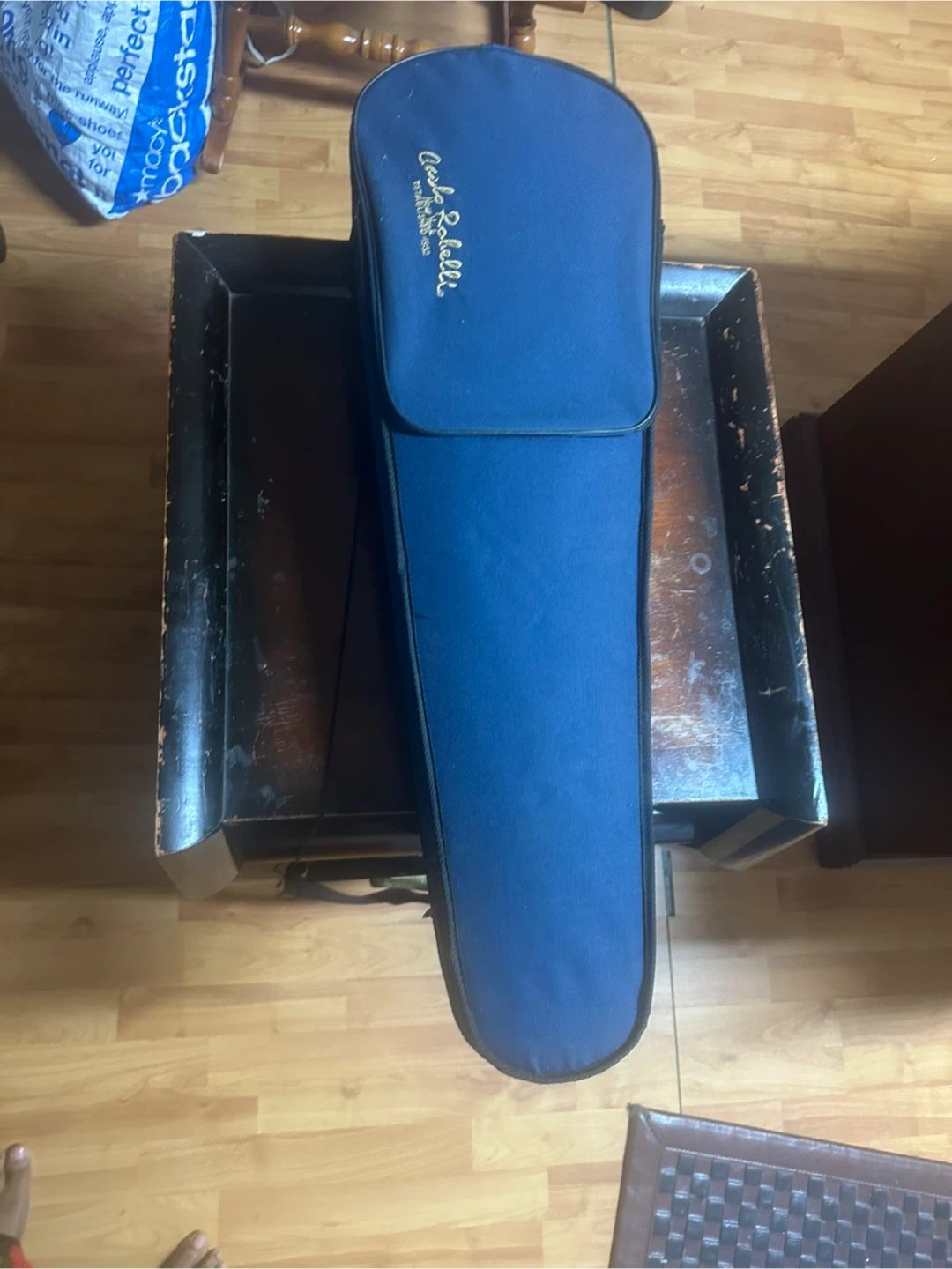 Carlo Robelli Viola with Case