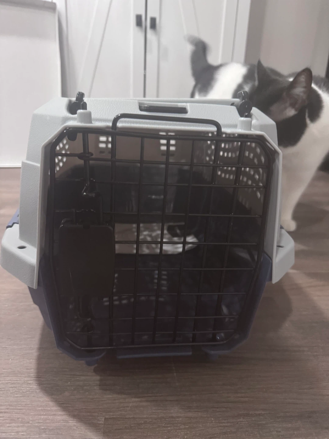 Petmate Pet Carrier Kennel