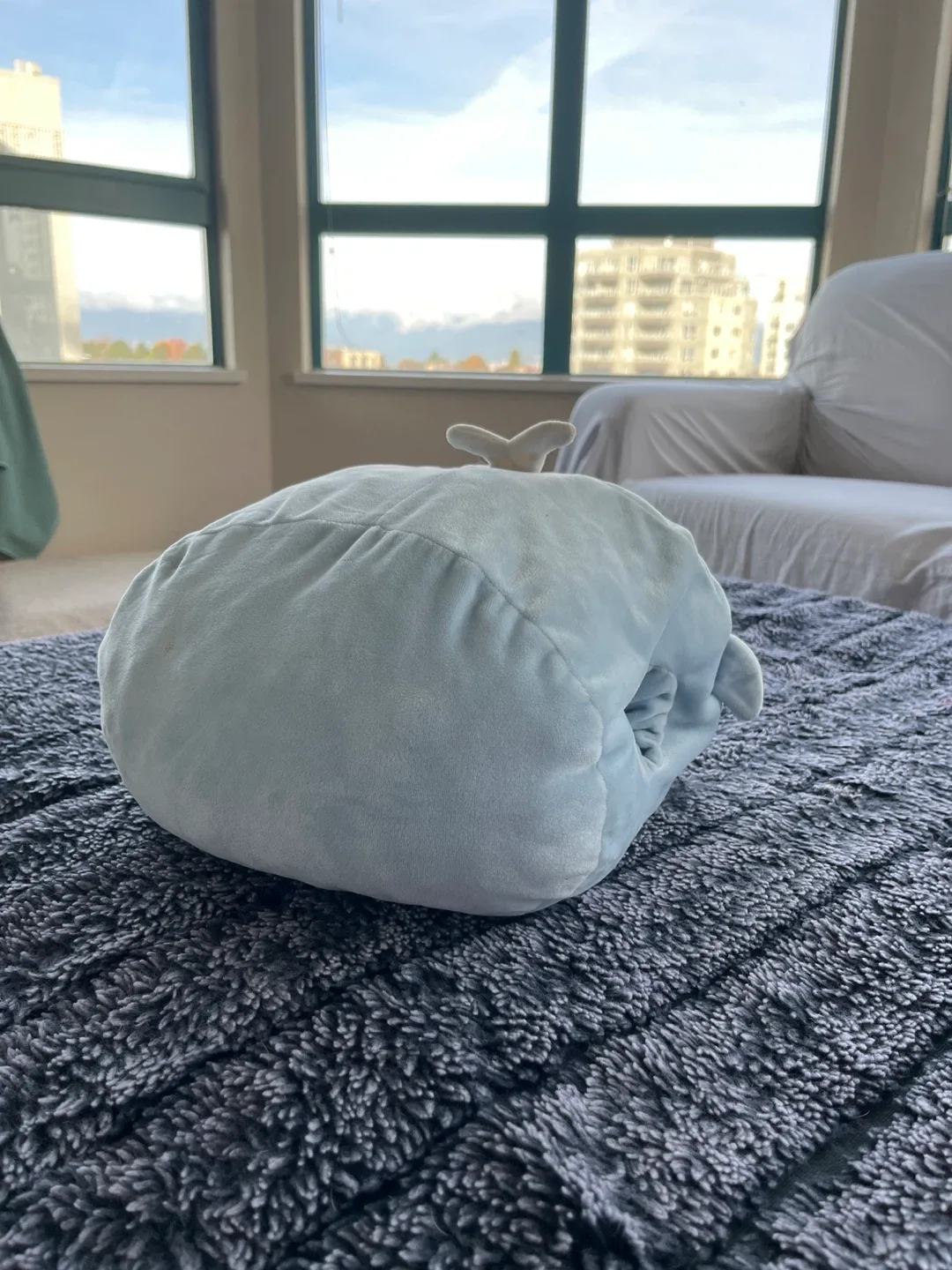 🐋 Whale Plush Hand Warmer Pillow – Super Soft & Cozy! image indicator(2)
