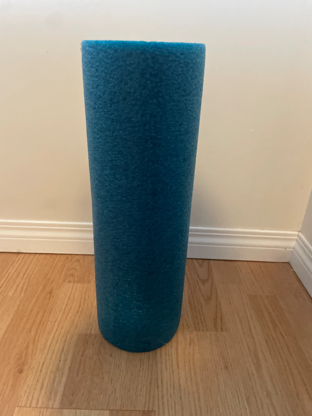 Blue Foam Roller - photo 2