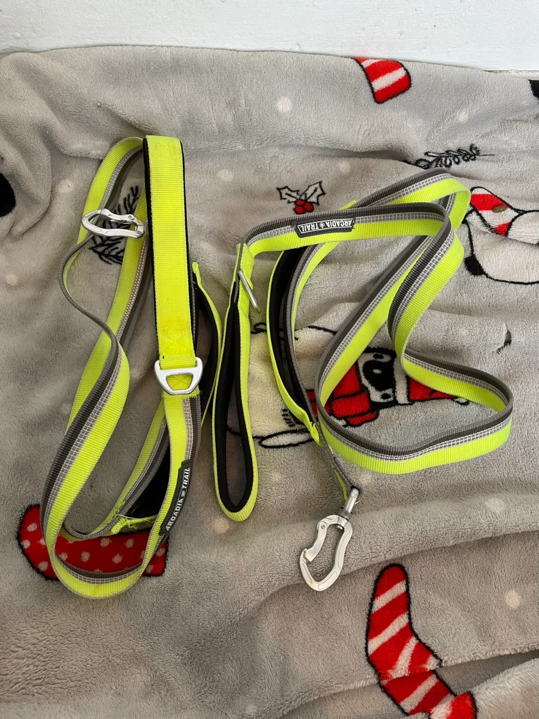 Arcadia Trail Large Dog Leashes thumbnail